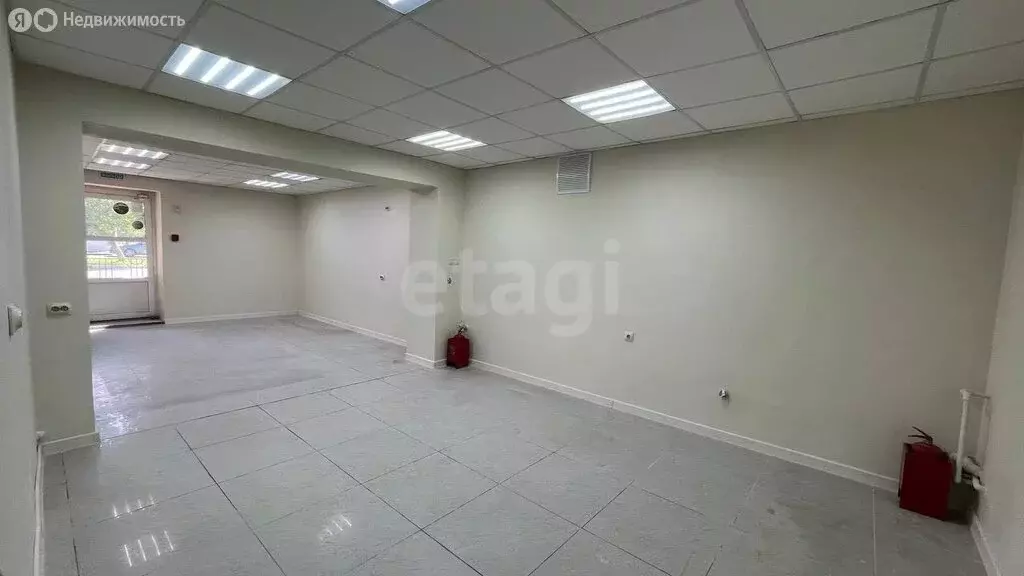 Помещение свободного назначения (47 м) - Фото 2