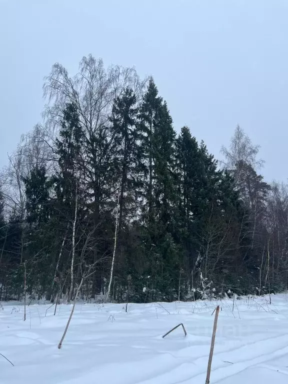 Участок в Московская область, Солнечногорск городской округ, д. ... - Фото 1