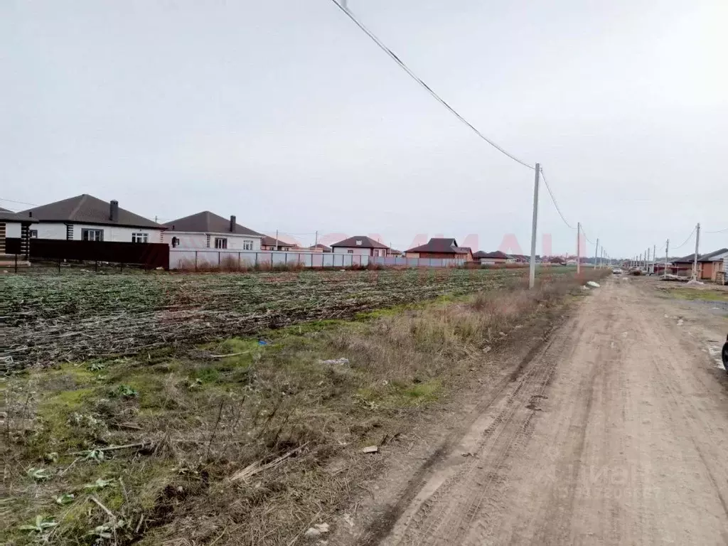 Участок в Ростовская область, Неклиновский район, с. Новобессергеневка ... - Фото 0