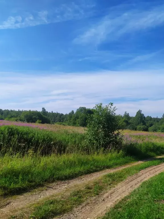 Участок в Новгородская область, Валдайский район, Короцкое с/пос, д. ... - Фото 2