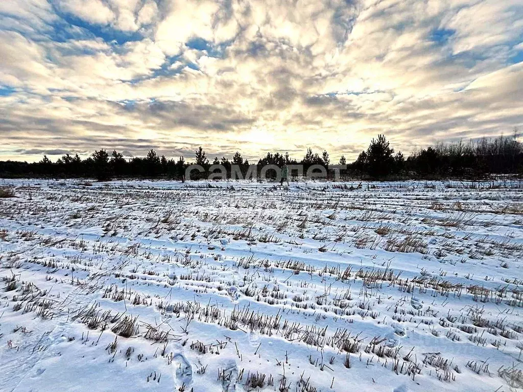 Участок в Тюменская область, Тюменский муниципальный округ, с. ... - Фото 2