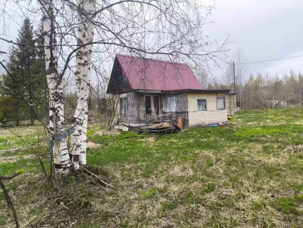 Дом в Деревянское сельское поселение, СНТ Онежец-4 (30 м) - Фото 0
