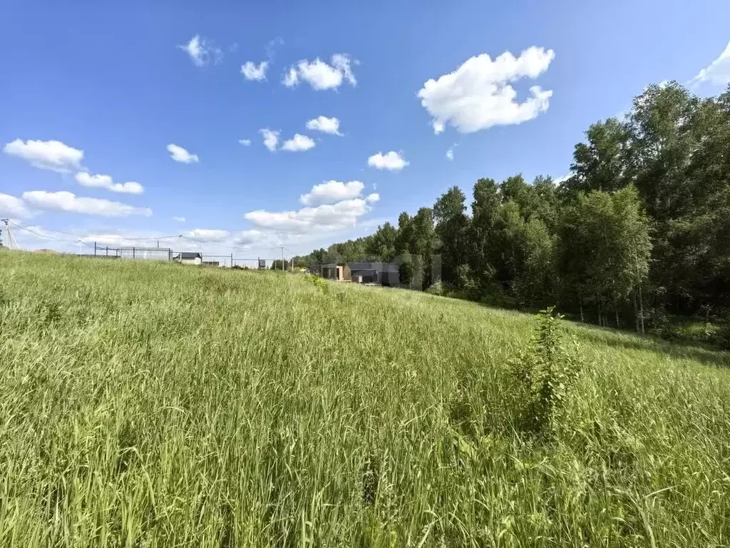 Участок в Новосибирская область, Новосибирский район, Морской ... - Фото 1