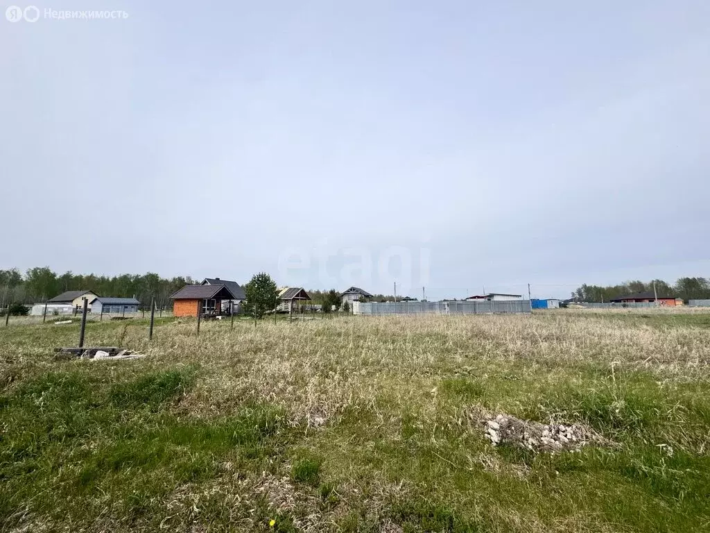 Участок в Тюменский муниципальный округ, коттеджный посёлок Соловьиная ... - Фото 2