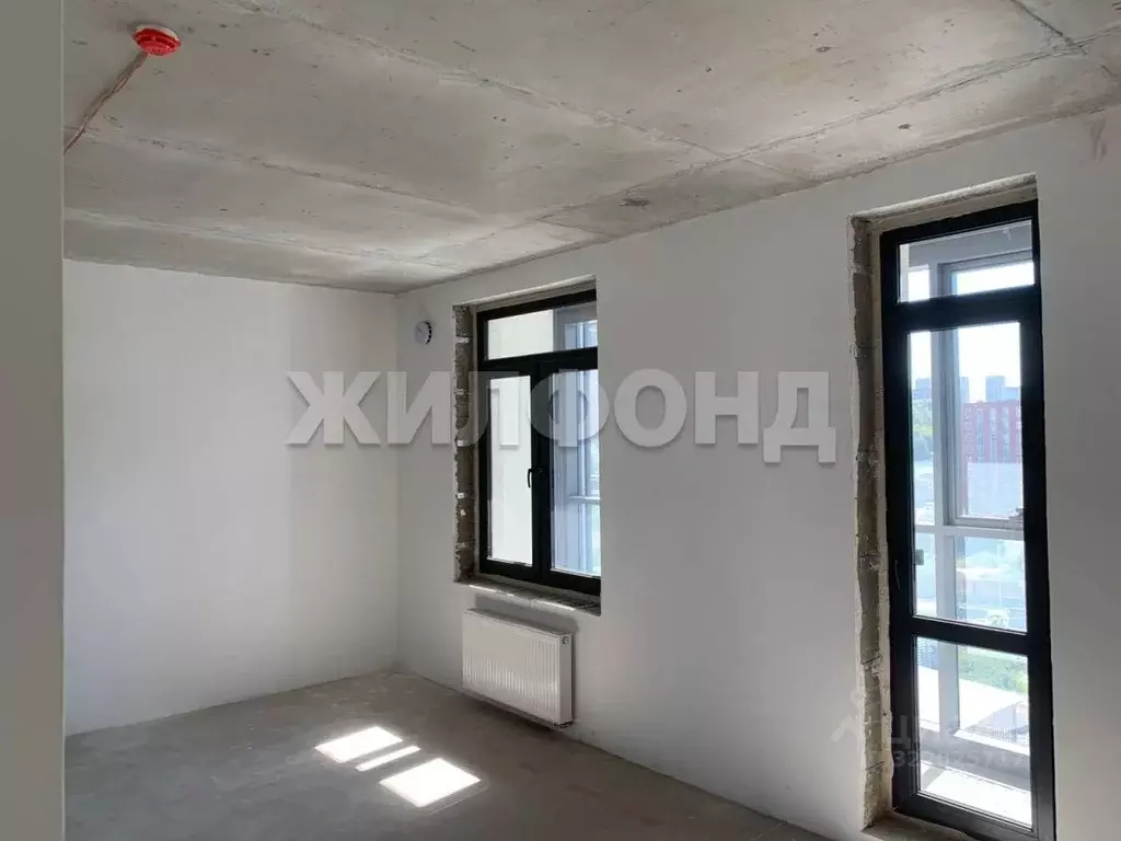 1-к кв. Новосибирская область, Новосибирск ул. Фрунзе, 220 (29.4 м) - Фото 2