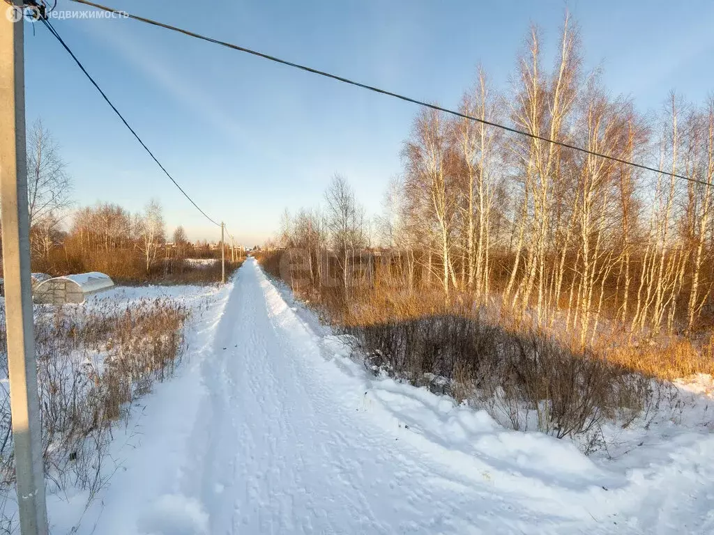 Участок в Тюмень, территория СОСН Изыскатель, Яблоневая улица (9 м) - Фото 2