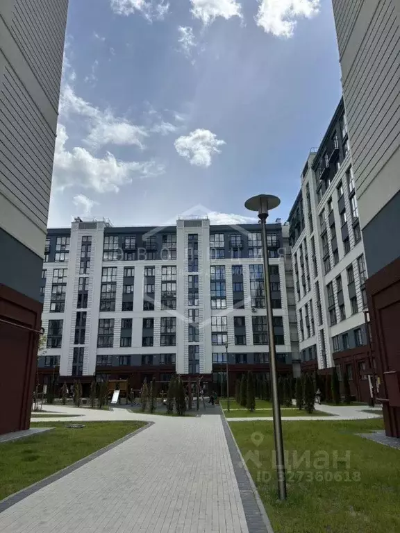 1-к кв. Калининградская область, Калининград ул. Героя России ... - Фото 2