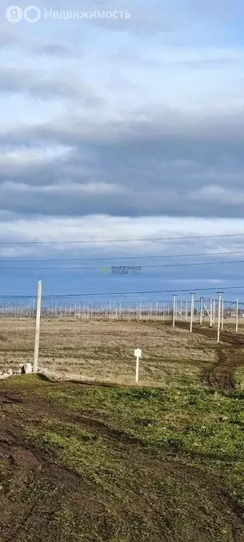 Участок в Николаевка, Звёздная улица (6 м) - Фото 1