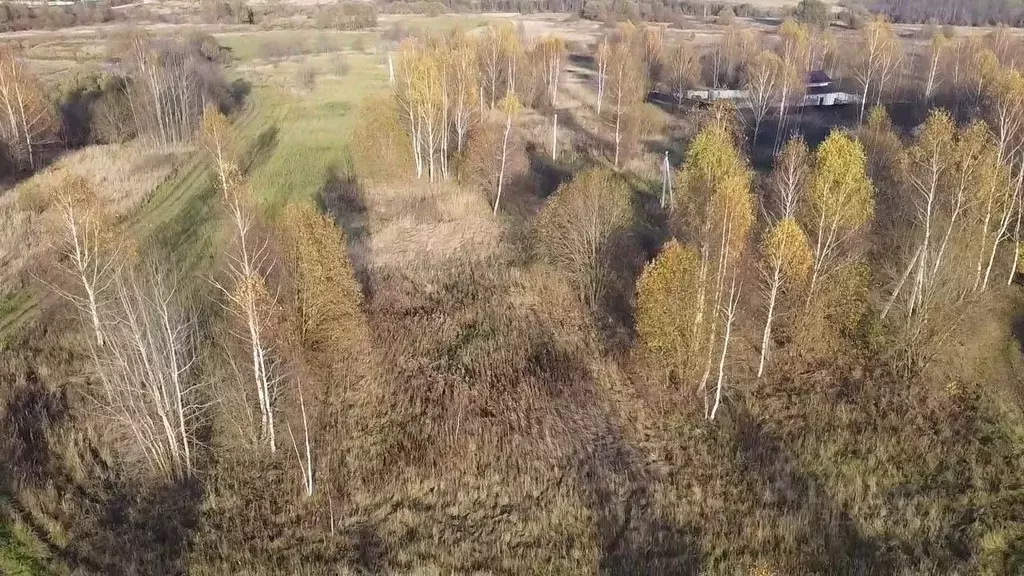 Участок в Московская область, Волоколамский муниципальный округ, с. ... - Фото 0