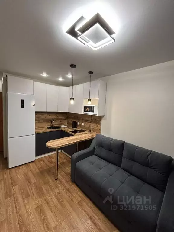 Студия Новосибирская область, Новосибирск ул. Забалуева, 90 (20.0 м) - Фото 0