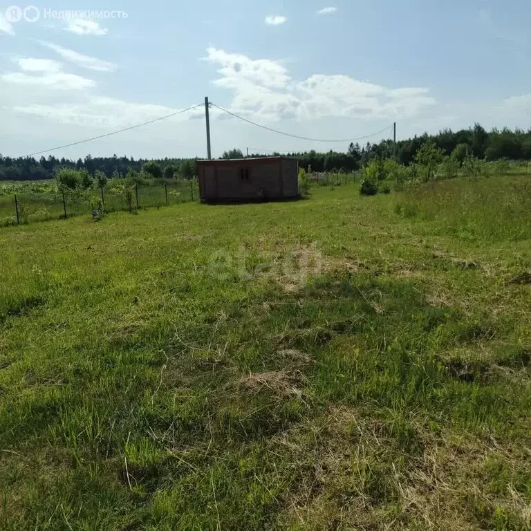 Участок в Волосовский район, деревня Бегуницы (30 м) - Фото 1