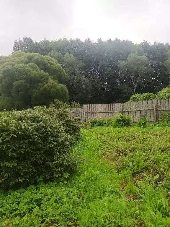 Участок в Новгородская область, Малая Вишера ул. Урицкого, 37 (7.0 ... - Фото 1