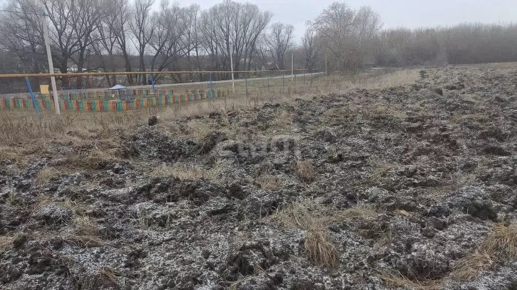 Участок в Белгородская область, Корочанский район, Проходенское с/пос, ... - Фото 2