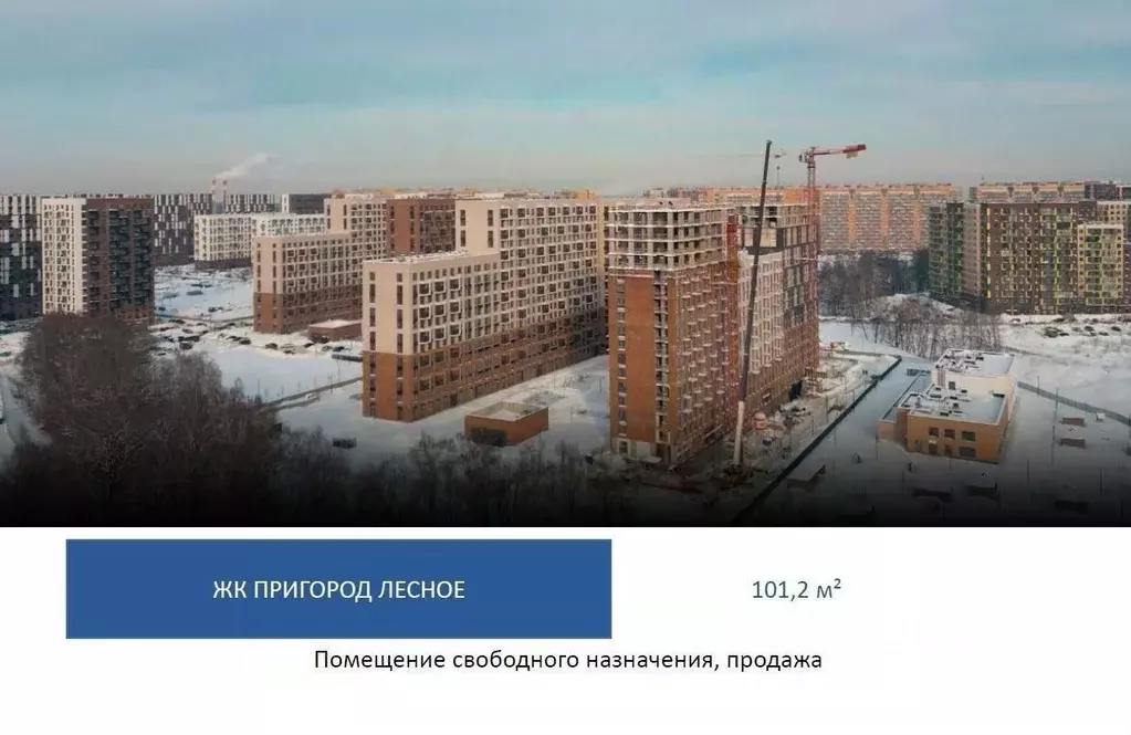 Помещение свободного назначения в Московская область, Ленинский ... - Фото 1