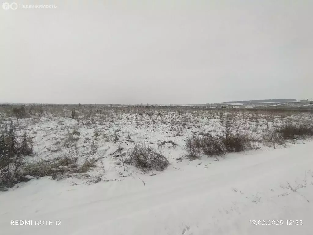 Участок в Суздальский район, муниципальное образование Павловское, ... - Фото 0