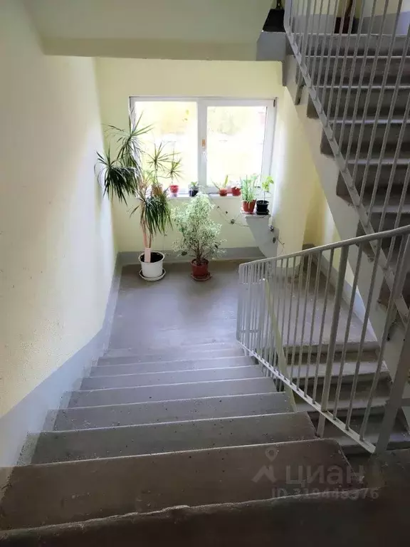 2-к кв. Санкт-Петербург Удельный просп., 29 (60.0 м) - Фото 0