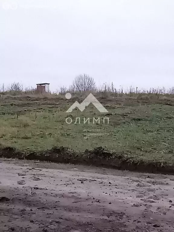 Участок в Ярославский муниципальный округ, деревня Дорожаево (10 м) - Фото 1