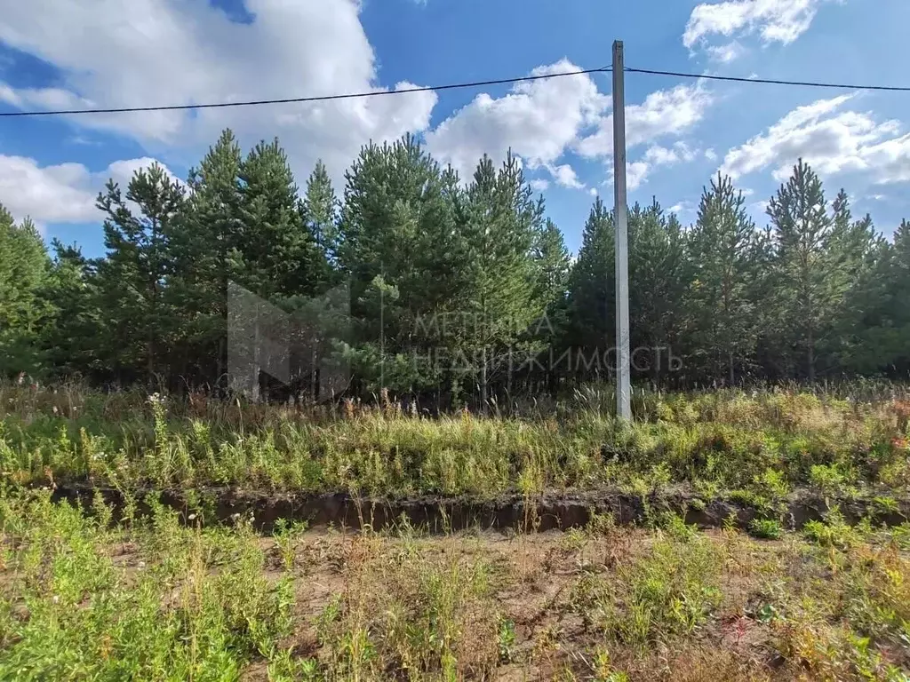 Участок в Свердловская область, Слободо-Туринский район, ... - Фото 0