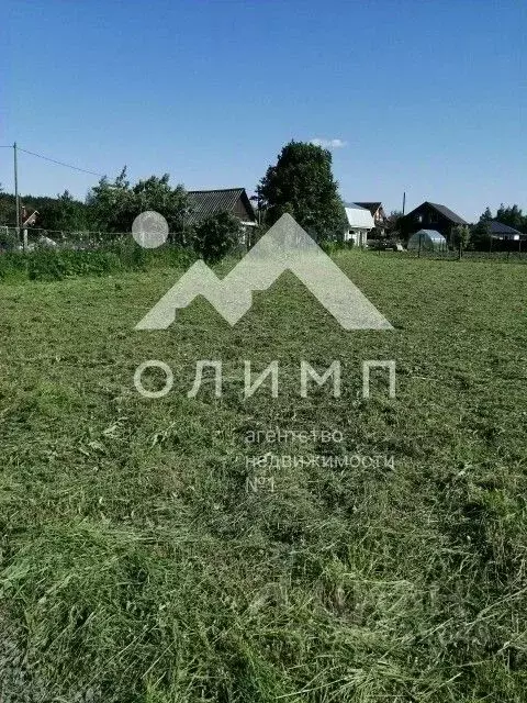 Участок в Вологодская область, пос. Сосновка пер. Вишневый (7.0 сот.) - Фото 2