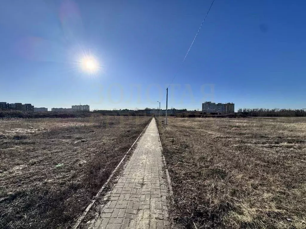 Участок в Белгородская область, Белгородский район, Беловское с/пос, ... - Фото 2