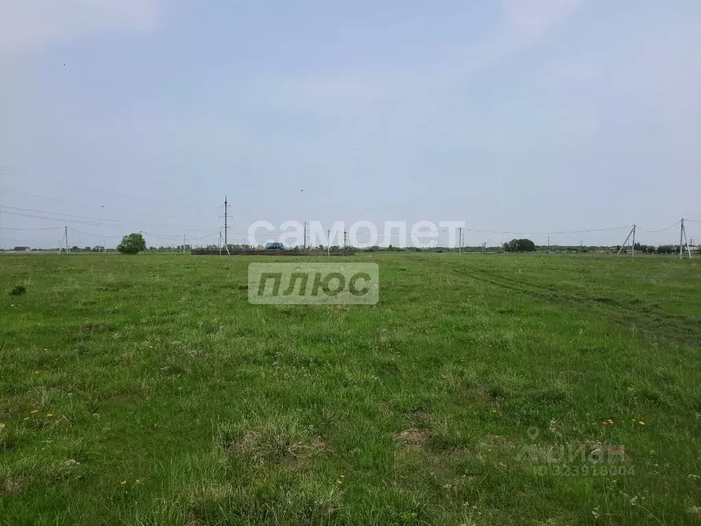 Участок в Хабаровский край, Хабаровский район, с. Восточное ... - Фото 1