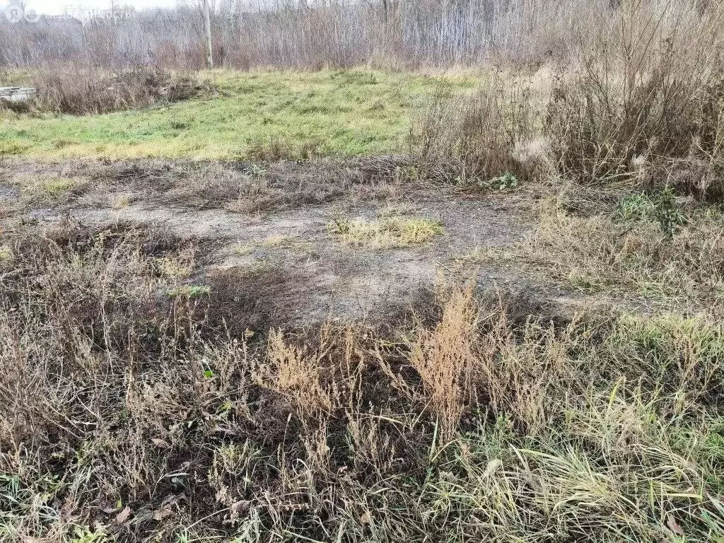 Участок в Чердаклинский район, Мирновское сельское поселение, СНТ ... - Фото 1