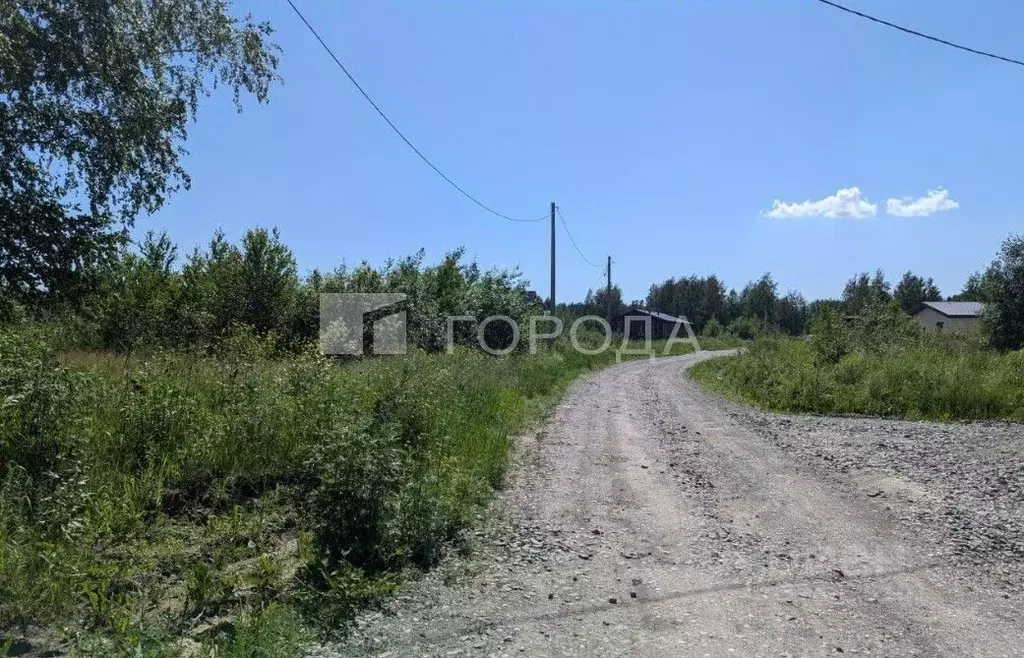 Участок в Новосибирская область, Новосибирский район, Барышевский ... - Фото 2