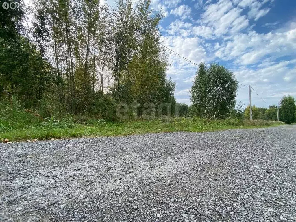 Участок в Тюмень, ДНП Звенящие Кедры Тюмени, Светлая улица (14.07 м) - Фото 2