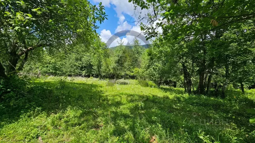 Участок в Краснодарский край, Апшеронский район, Мезмайское с/пос, ... - Фото 1
