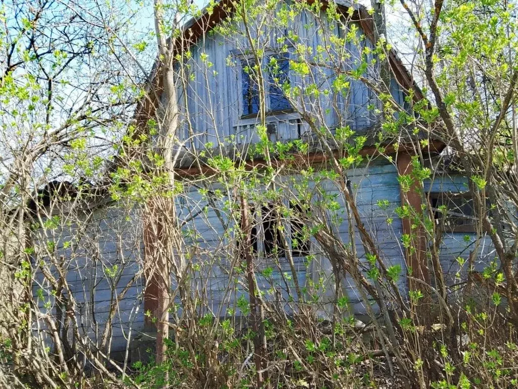 Участок в Нижний Новгород, СНТ Дубрава, 204 (6.1 м) - Фото 0