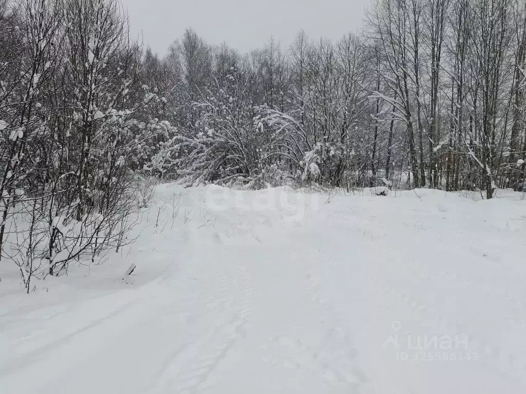 Участок в Ленинградская область, Киришский район, Будогощь пгт ул. ... - Фото 1