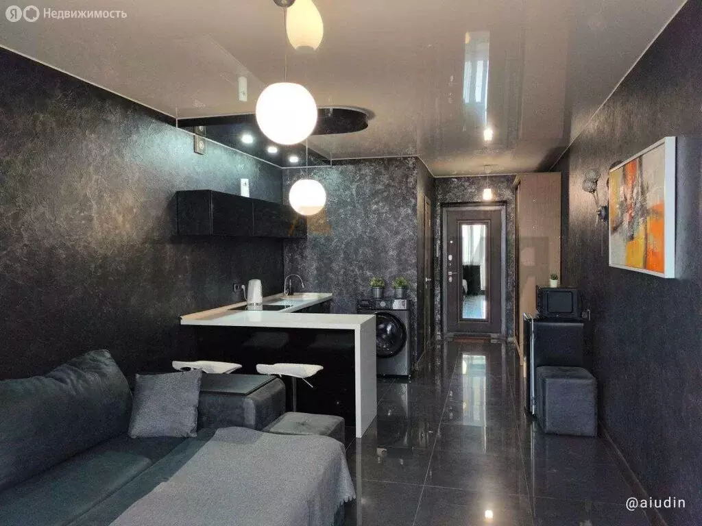 Квартира-студия: Саратов, улица имени Академика Н.Н. Семёнова, 13 (26 ... - Фото 2