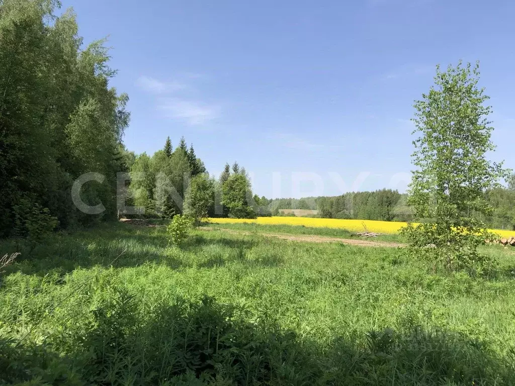 Участок в Калужская область, Совхоз Боровский с/пос, д. Трубицыно  ... - Фото 0