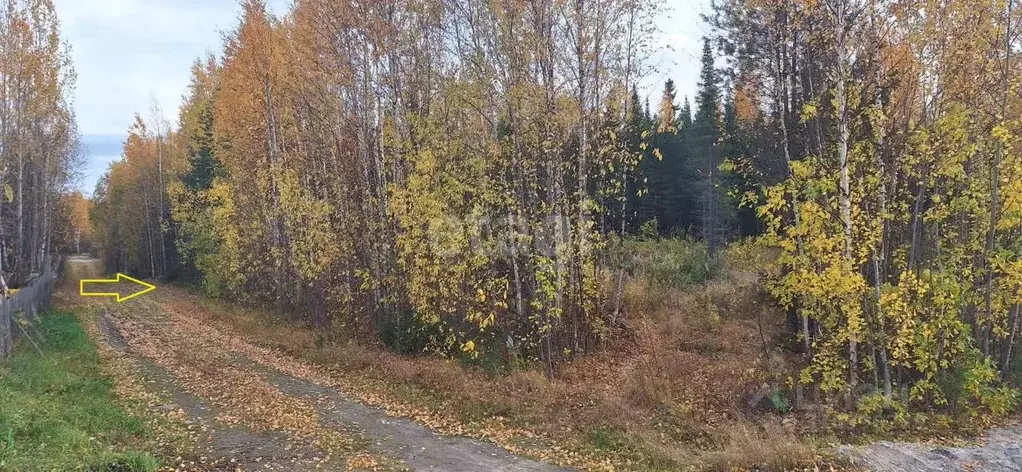 Участок в Ханты-Мансийский АО, Ханты-Мансийск Маяк СОТ,  (15.0 сот.) - Фото 2