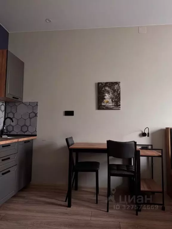 Студия Санкт-Петербург просп. Энергетиков, 8к2 (24.1 м) - Фото 2