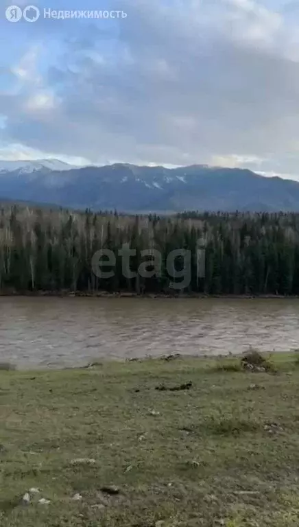 Участок в Усть-Коксинский район, село Чендек (1966 м) - Фото 0