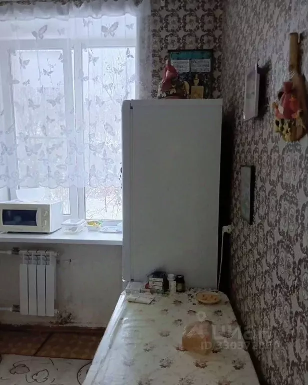 3-к кв. Челябинская область, Златоуст ул. Просвещения, 10 (65.0 м) - Фото 2