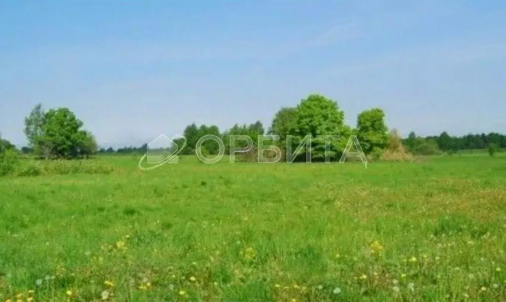 Участок в Тюменская область, Вагайский район, с. Тукуз Центральная ... - Фото 0