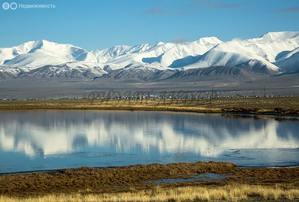 Участок в Онгудайский район, Теньгинское сельское поселение, село ... - Фото 1