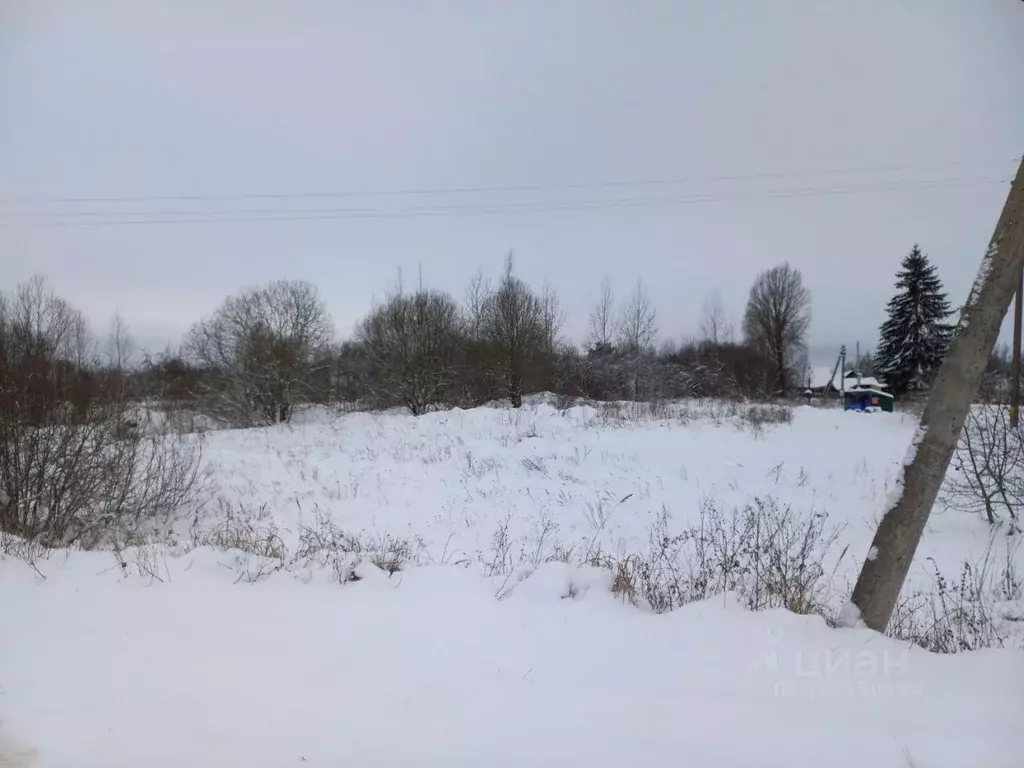 Участок в Псковская область, Псковский район, Логозовская волость, д. ... - Фото 2