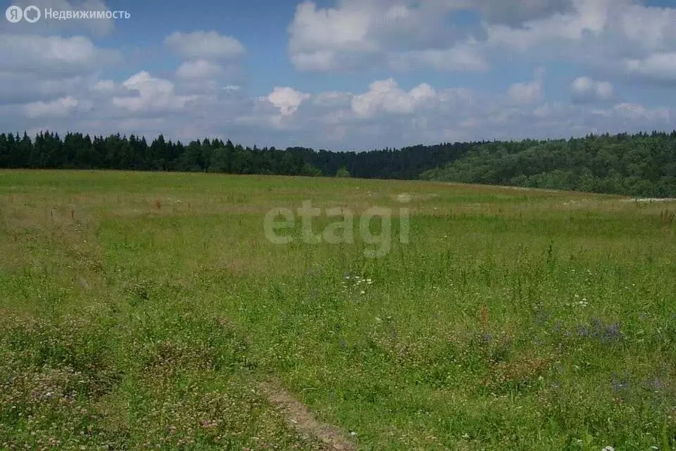 Участок в Новосибирский район, Морской сельсовет, территория ТСН ... - Фото 0