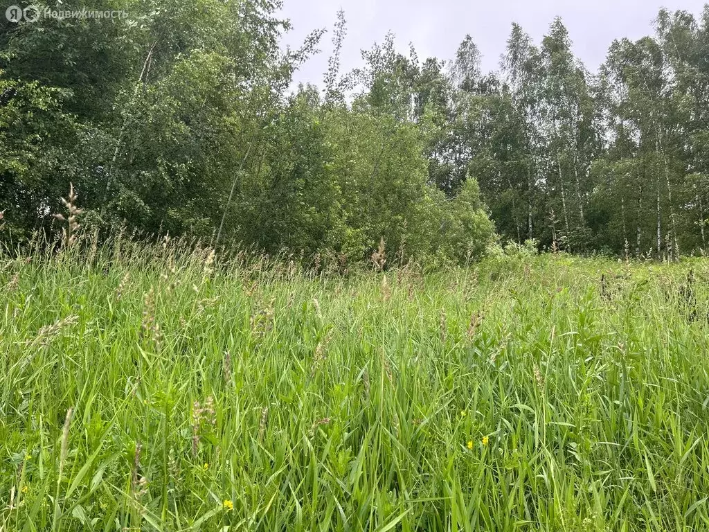 Участок в Московская область, Сергиево-Посадский городской округ, СНТ ... - Фото 1