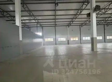 Склад в Ленинградская область, Отрадное Кировский район, Ленинградское ... - Фото 1