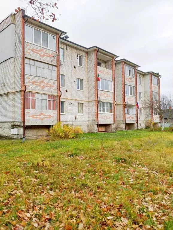 1-к кв. Брянская область, Навлинский район, пос. Синезерки ул. ... - Фото 1