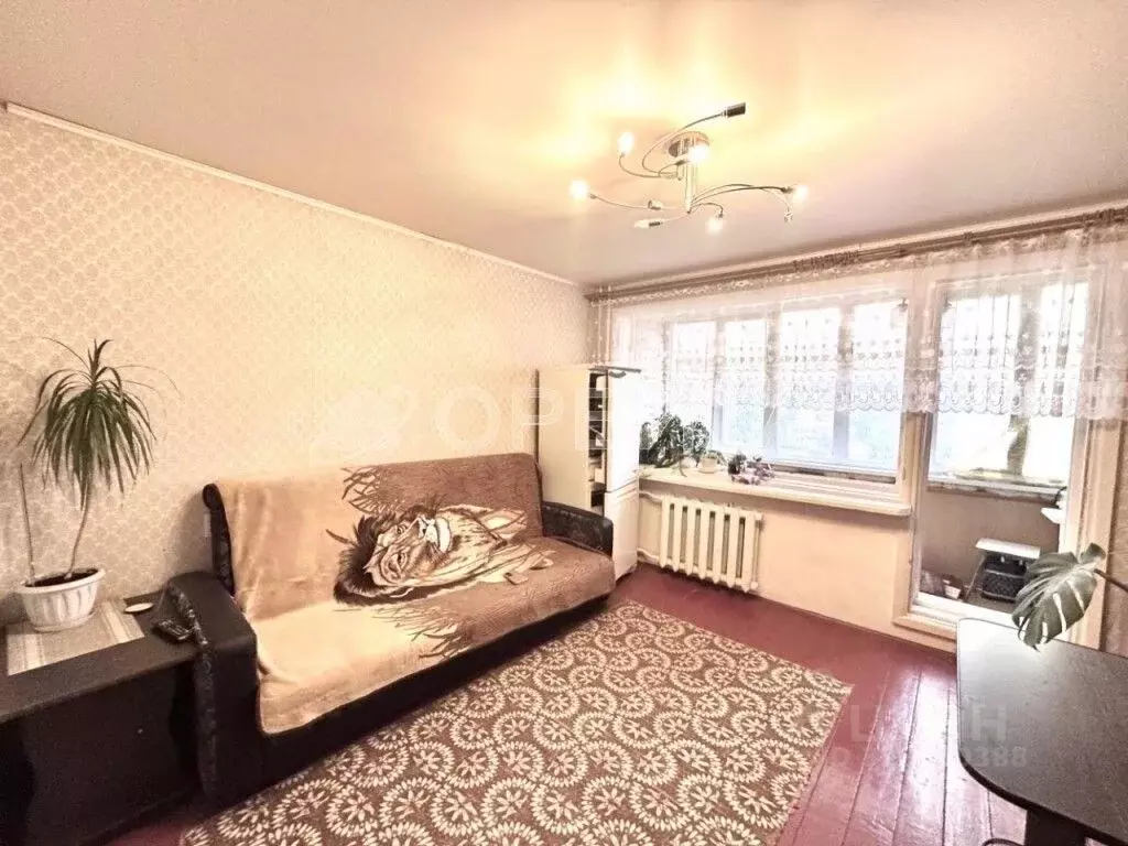 Студия Тюменская область, Тюмень Олимпийская ул., 20 (16.7 м) - Фото 2