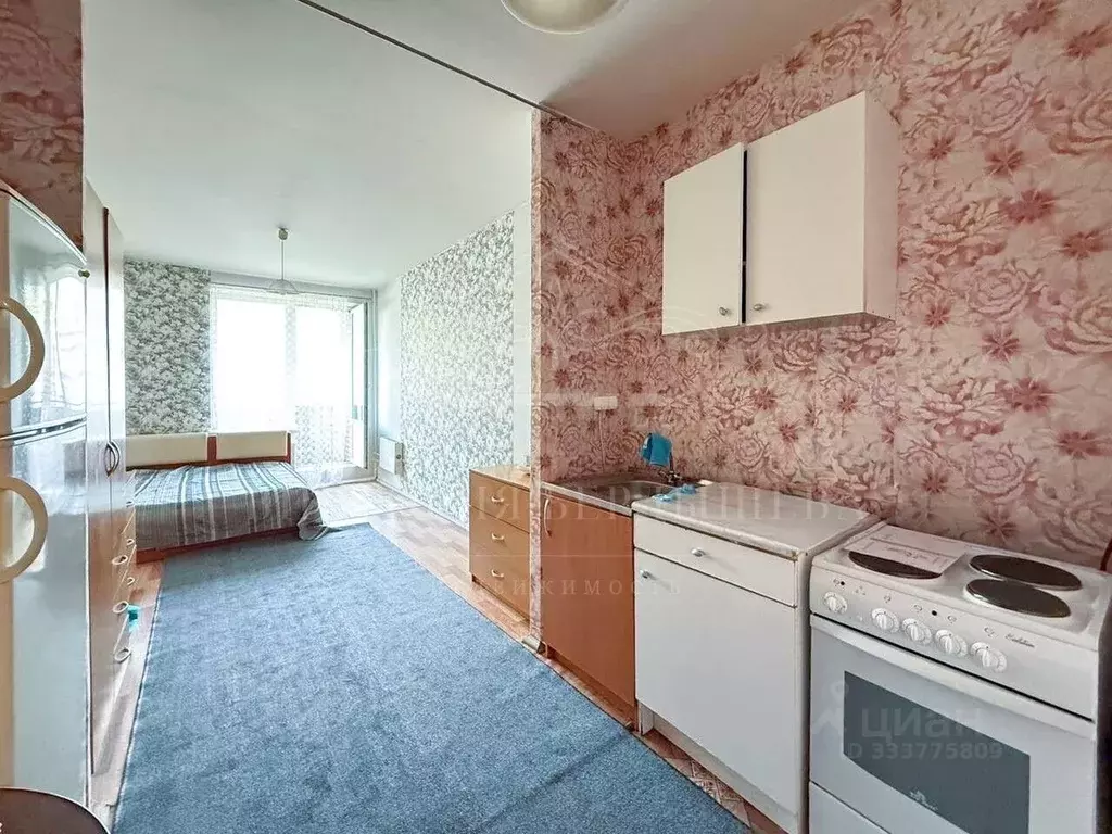 Студия Санкт-Петербург Бухарестская ул., 118к3 (24.8 м) - Фото 2