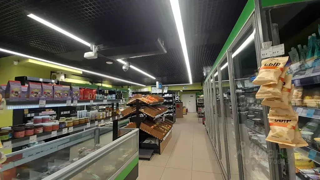 Торговая площадь в Москва ул. Римского-Корсакова, 18 (190 м) - Фото 2