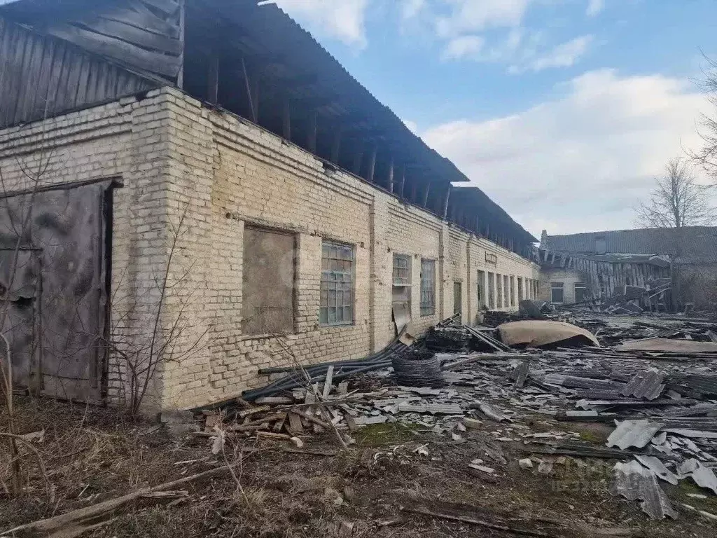 Склад в Брянская область, Севск ул. Плеханова, 1А (567 м) - Фото 1