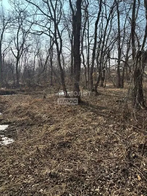 Участок в Приморский край, Владивостокский городской округ, пос. ... - Фото 1