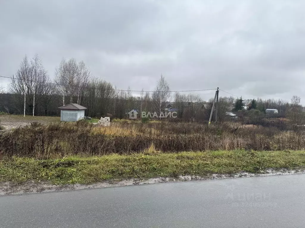 Участок в Владимирская область, Суздальский район, Новоалександровское ... - Фото 1